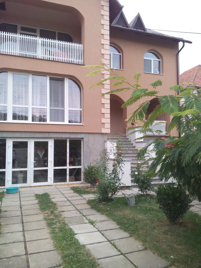 Private House Apartamento Berehove  Exterior foto
