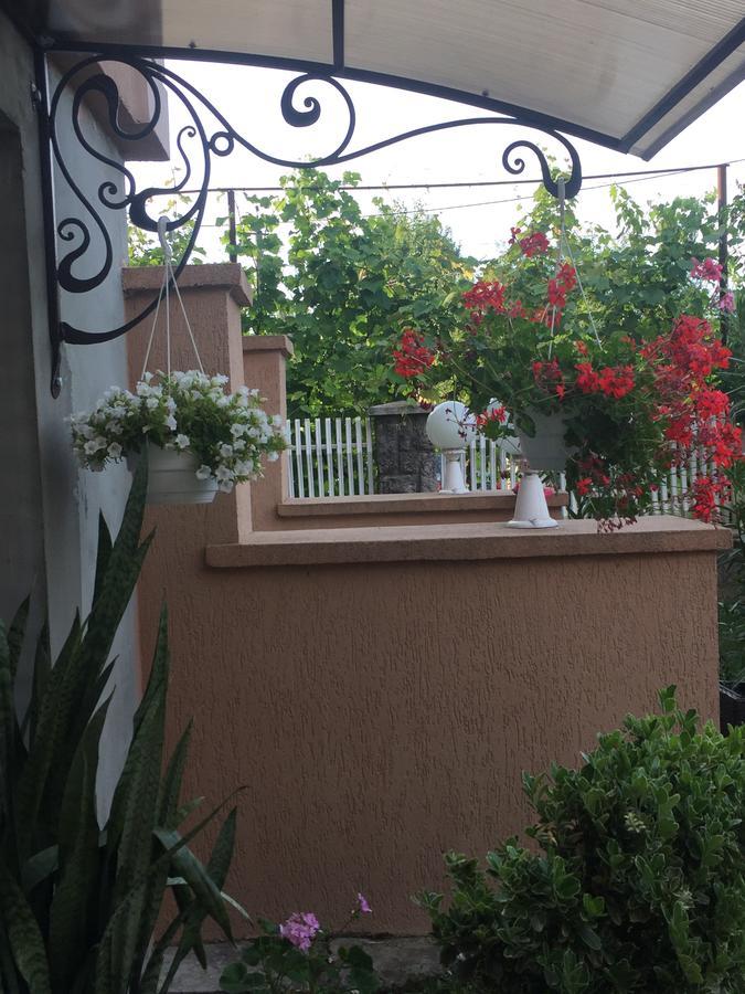 Private House Apartamento Berehove  Exterior foto