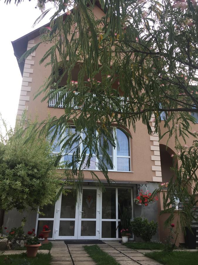 Private House Apartamento Berehove  Exterior foto
